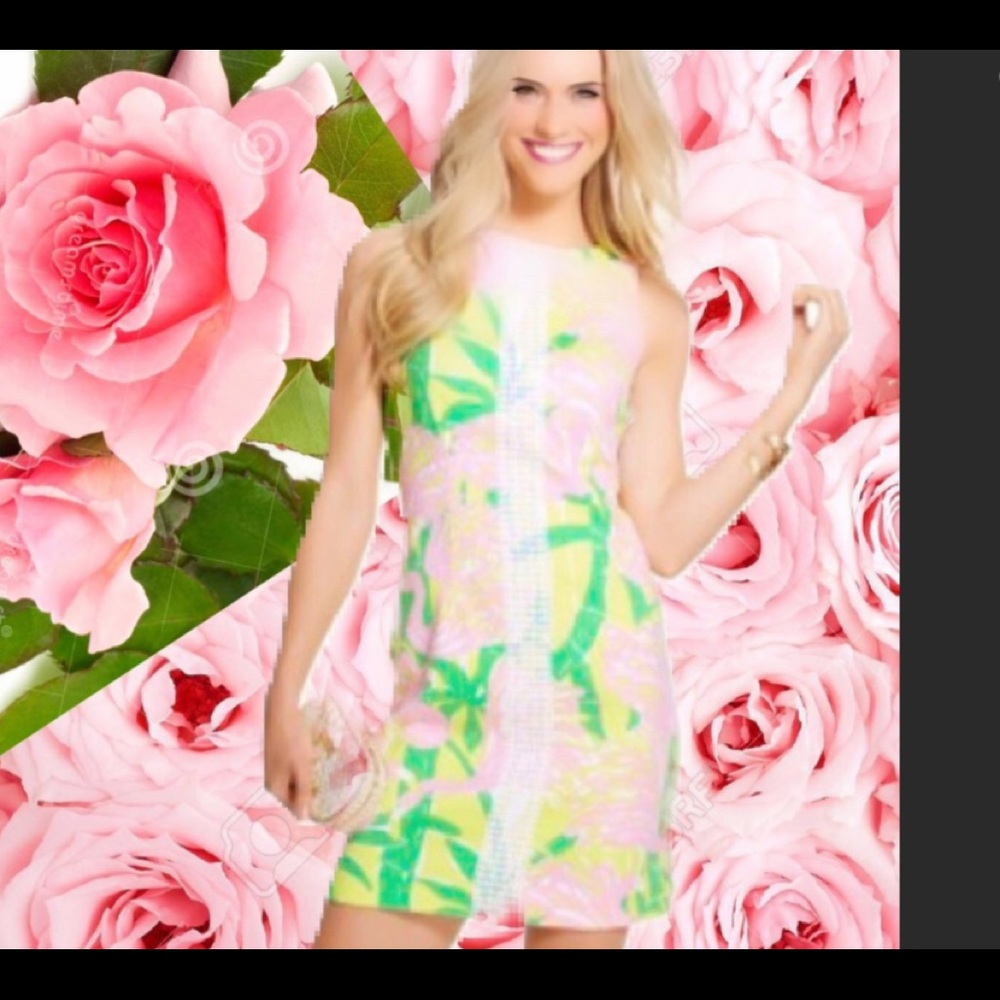 🌸NWT LILLY PULITZER DRESS SHIFT 14 16 FAN DANCE